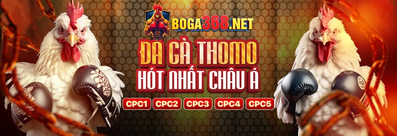 Tổng quan về gamebet